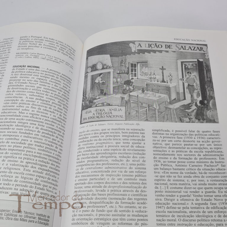 Dicionário História do Estado Novo, dois volumes, Fernando Rosas, 1996